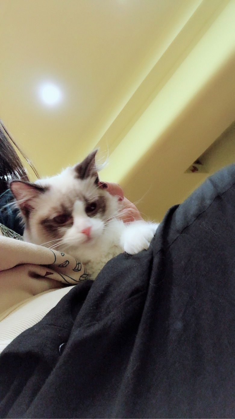 ����С��