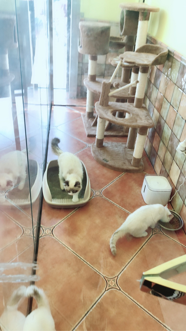 ����С��