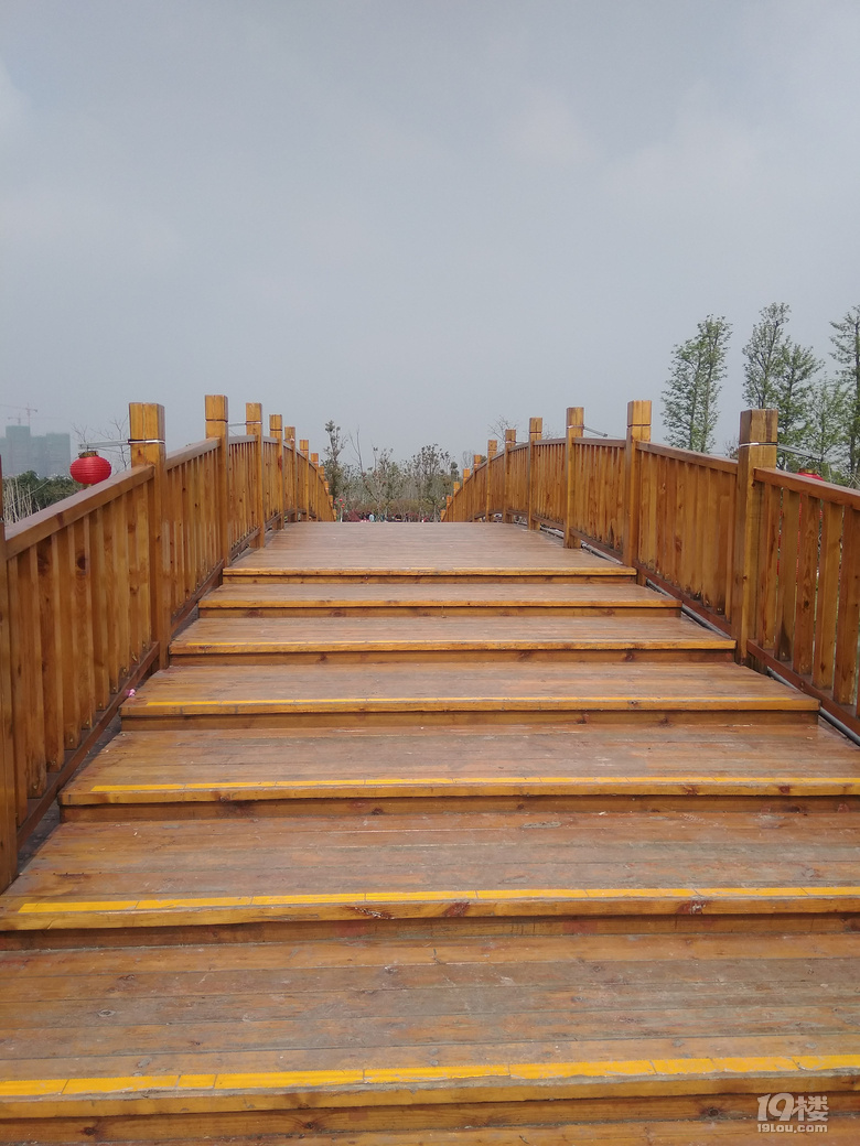 旅游日记no24游九龙汇湿地公园