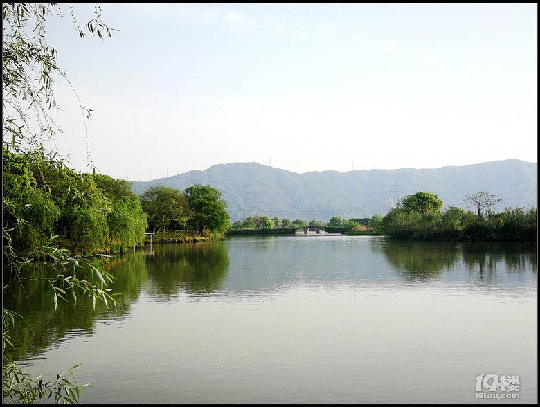 清明鉴洋湖一怀春意任留连