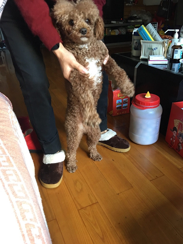 Ѱ������