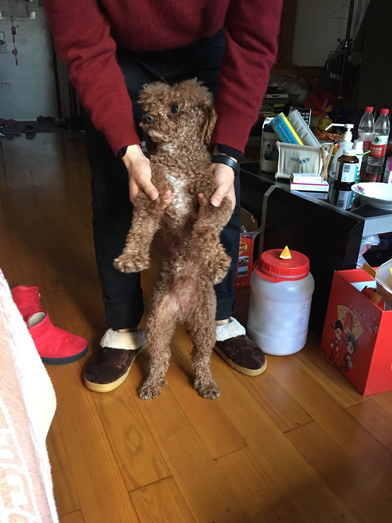 Ѱ������