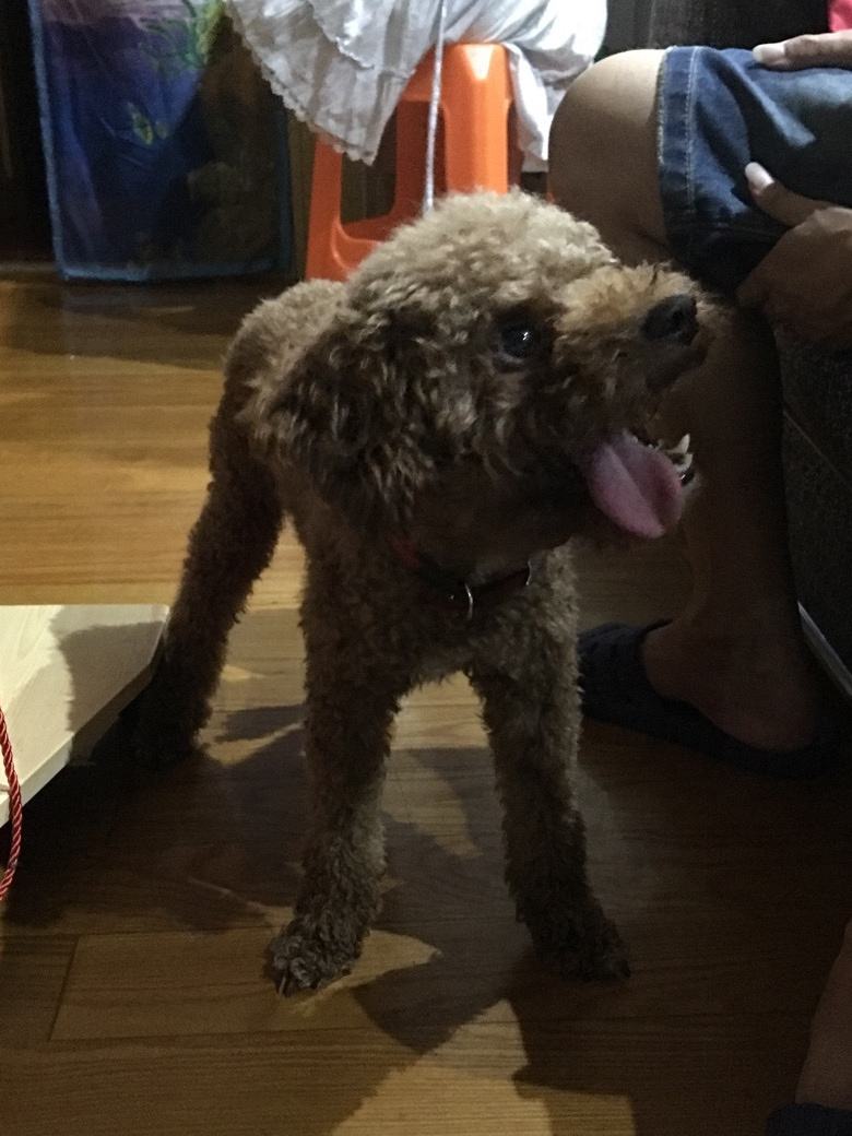 Ѱ������