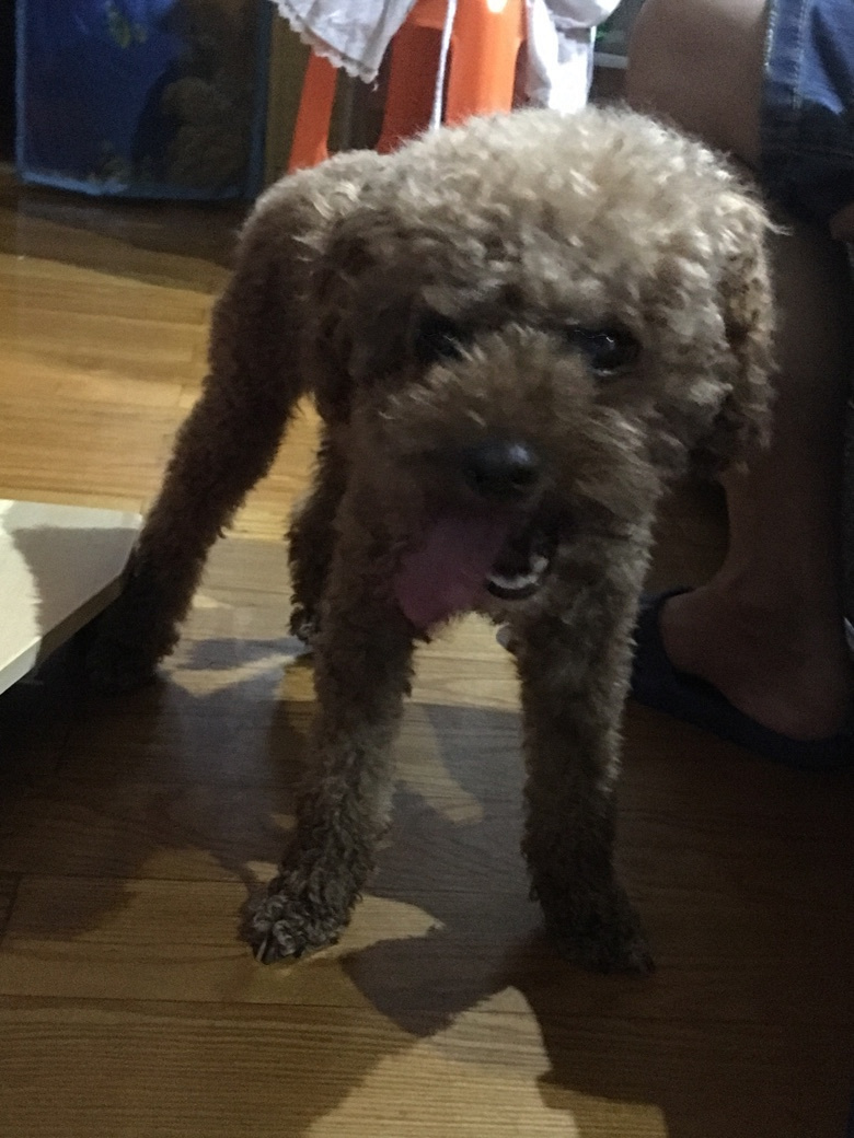 Ѱ������