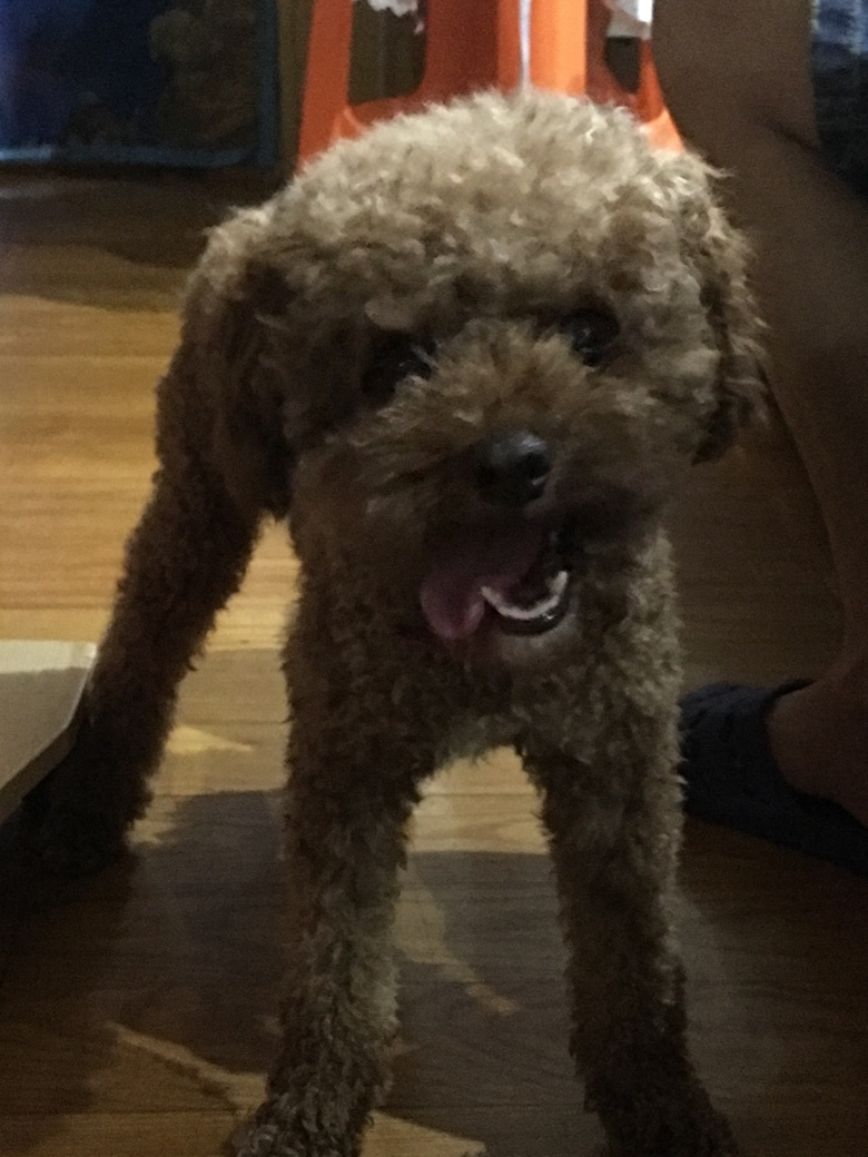 Ѱ������