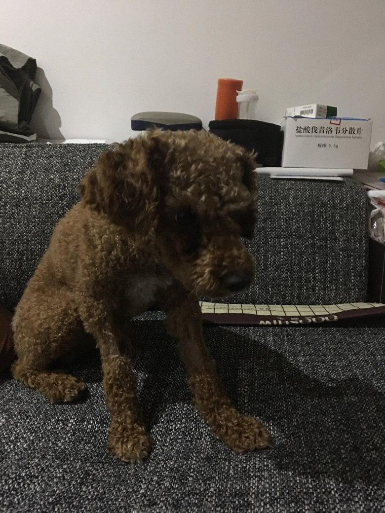 Ѱ������