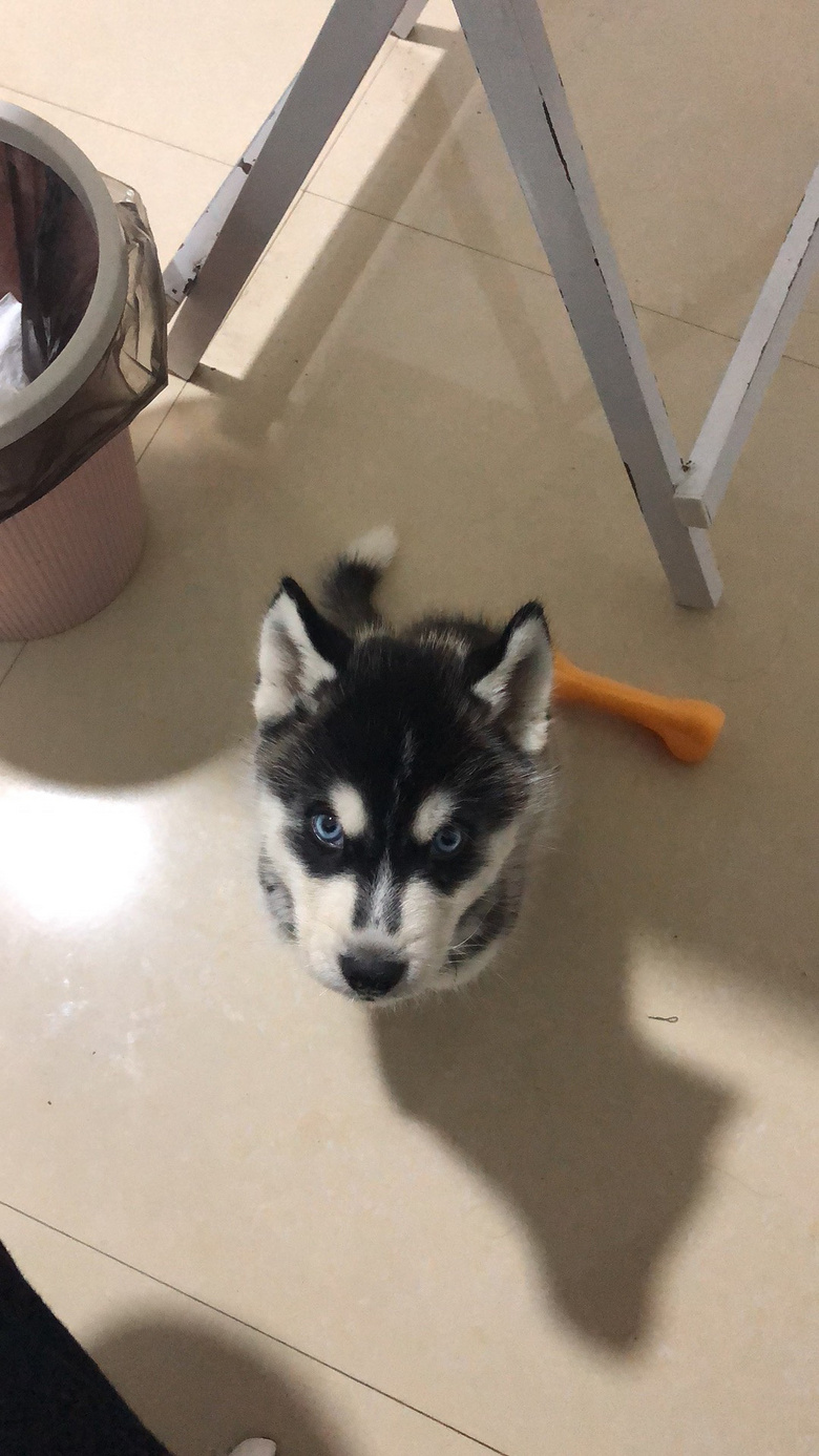 ���´󹫹�ʿ��  ����ȫ �н𻪹�֤ �ӽ𻪴�������������