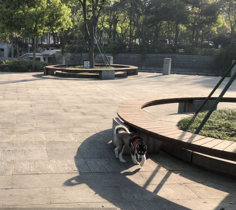 ���´󹫹�ʿ��  ����ȫ �н𻪹�֤ �ӽ𻪴�������������