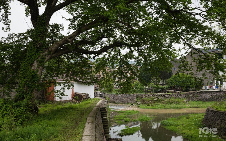小芝康谷路边景色晒图