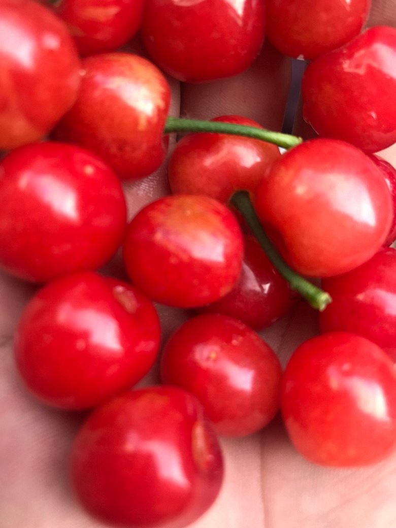 �±�͵�Ե�ӣ�ң����źڲ�������ס�Ի����ģ�ɵ������ϲ����ӣ��