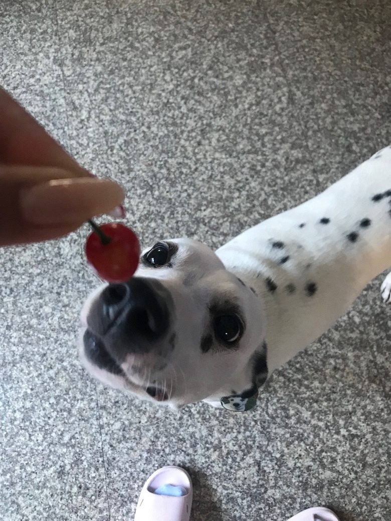 �±�͵�Ե�ӣ�ң����źڲ�������ס�Ի����ģ�ɵ������ϲ����ӣ��