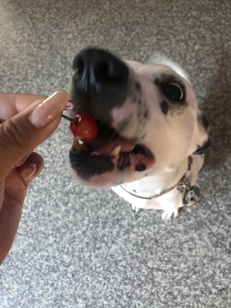 �±�͵�Ե�ӣ�ң����źڲ�������ס�Ի����ģ�ɵ������ϲ����ӣ��