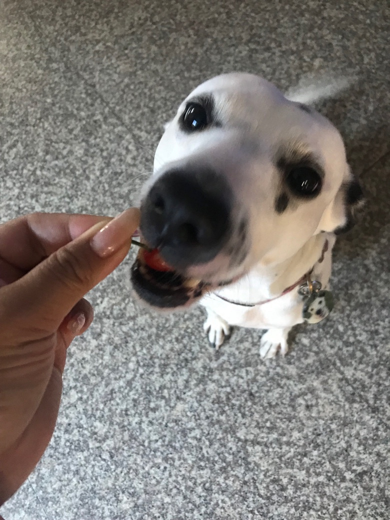 �±�͵�Ե�ӣ�ң����źڲ�������ס�Ի����ģ�ɵ������ϲ����ӣ��