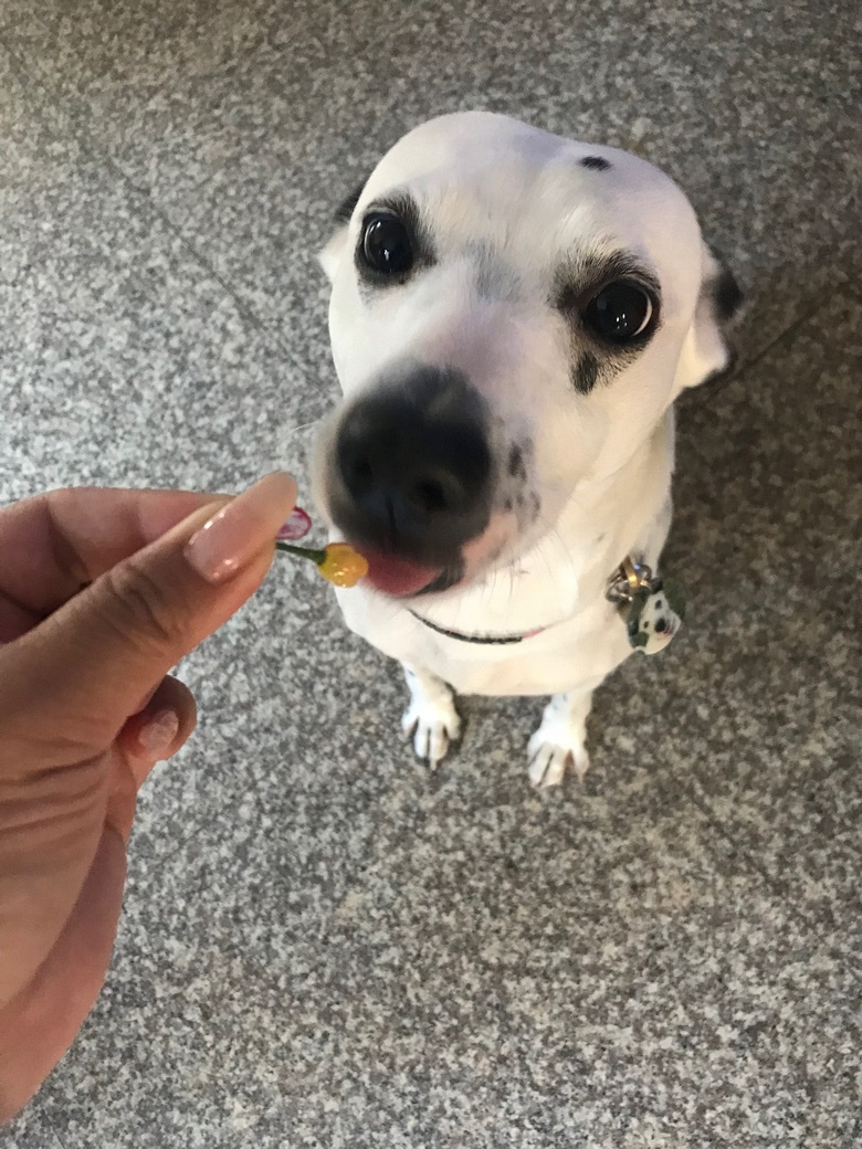 �±�͵�Ե�ӣ�ң����źڲ�������ס�Ի����ģ�ɵ������ϲ����ӣ��