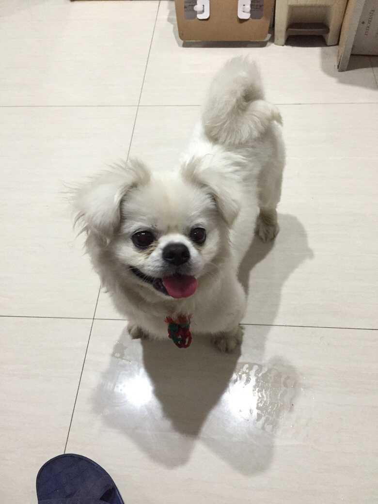 ������;���