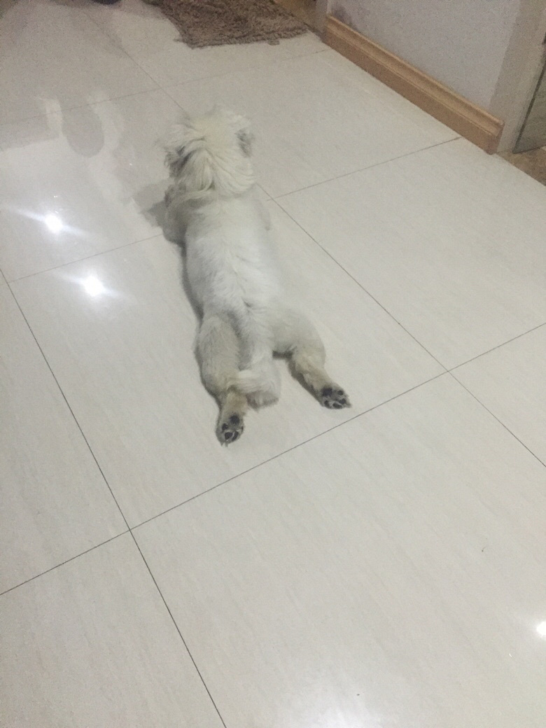 ������;���