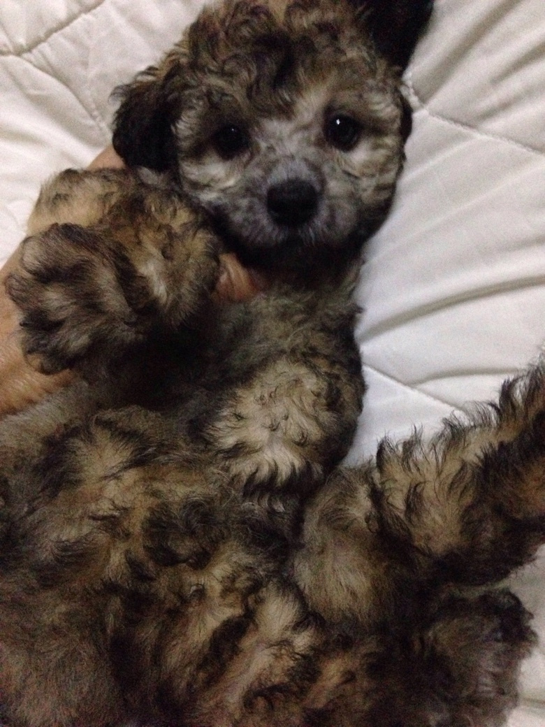 ����̩�ϳ���