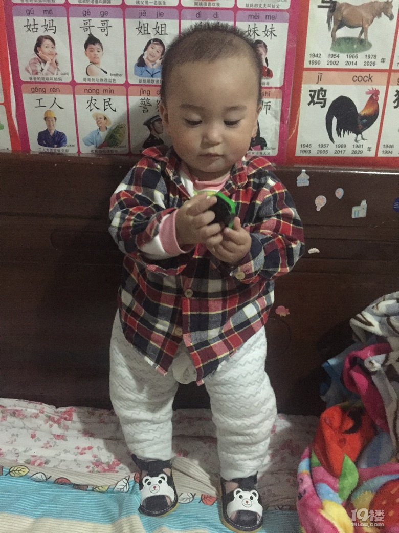 怎么让宝宝爬起来