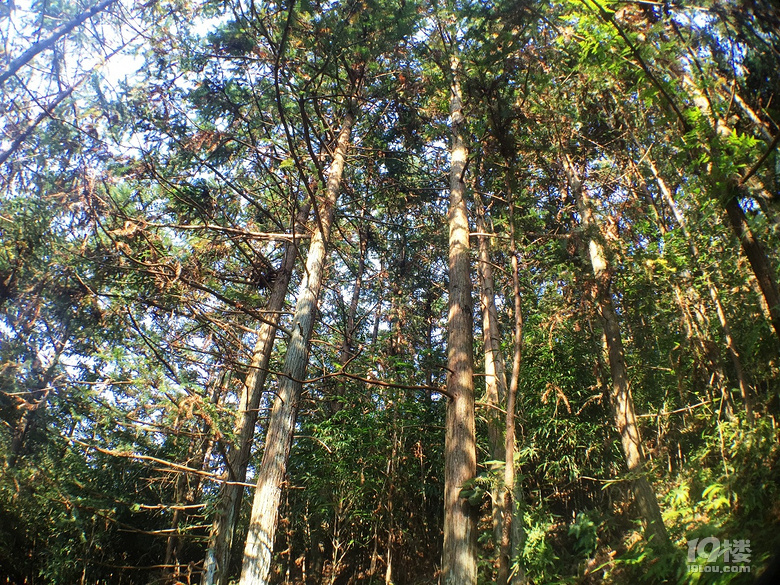 冷门景区游之温岭十八道地