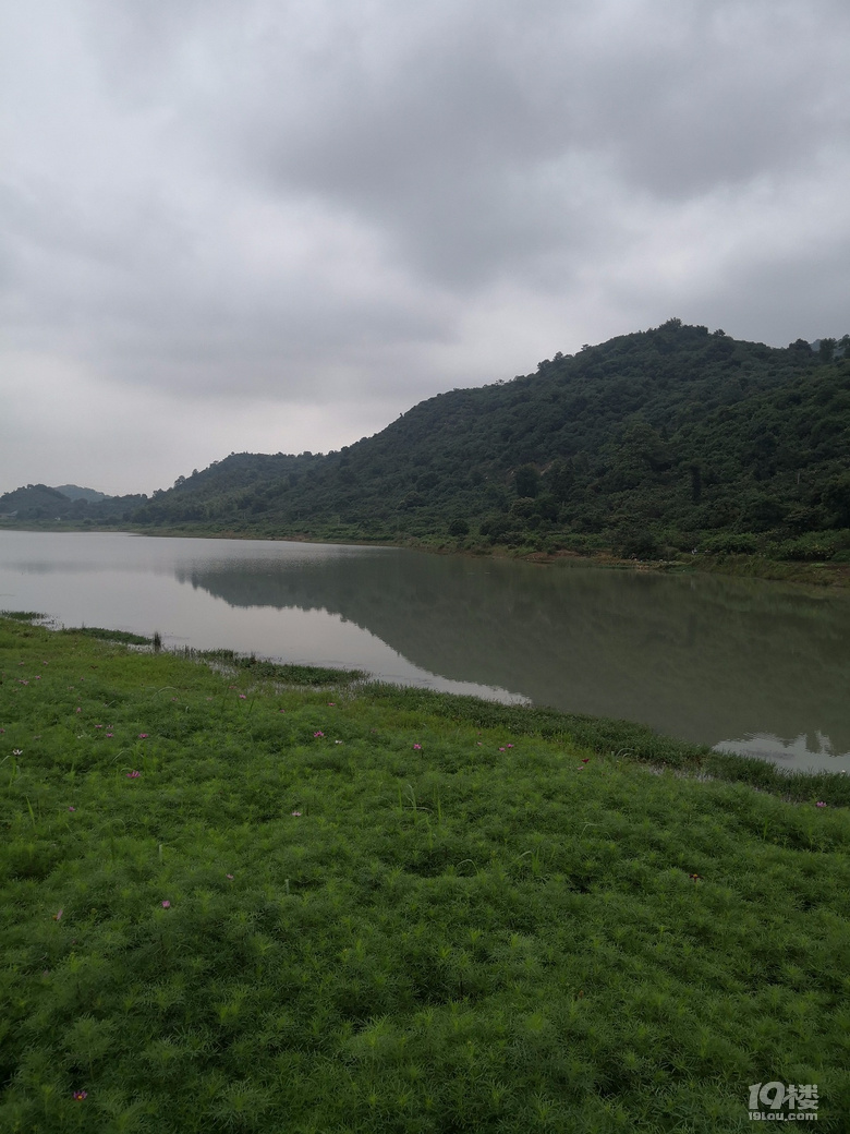 180526台州市路桥区桐屿街道飞龙湖湿地