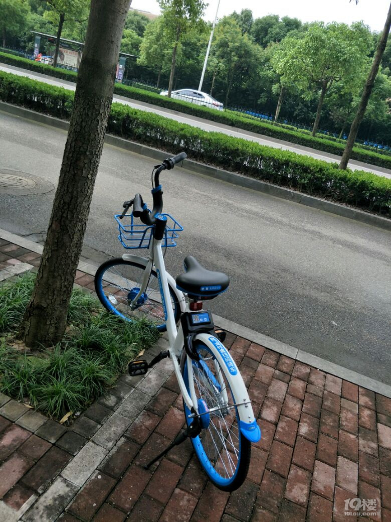 你们遇到哈罗单车开不了锁,手机一直显示骑行