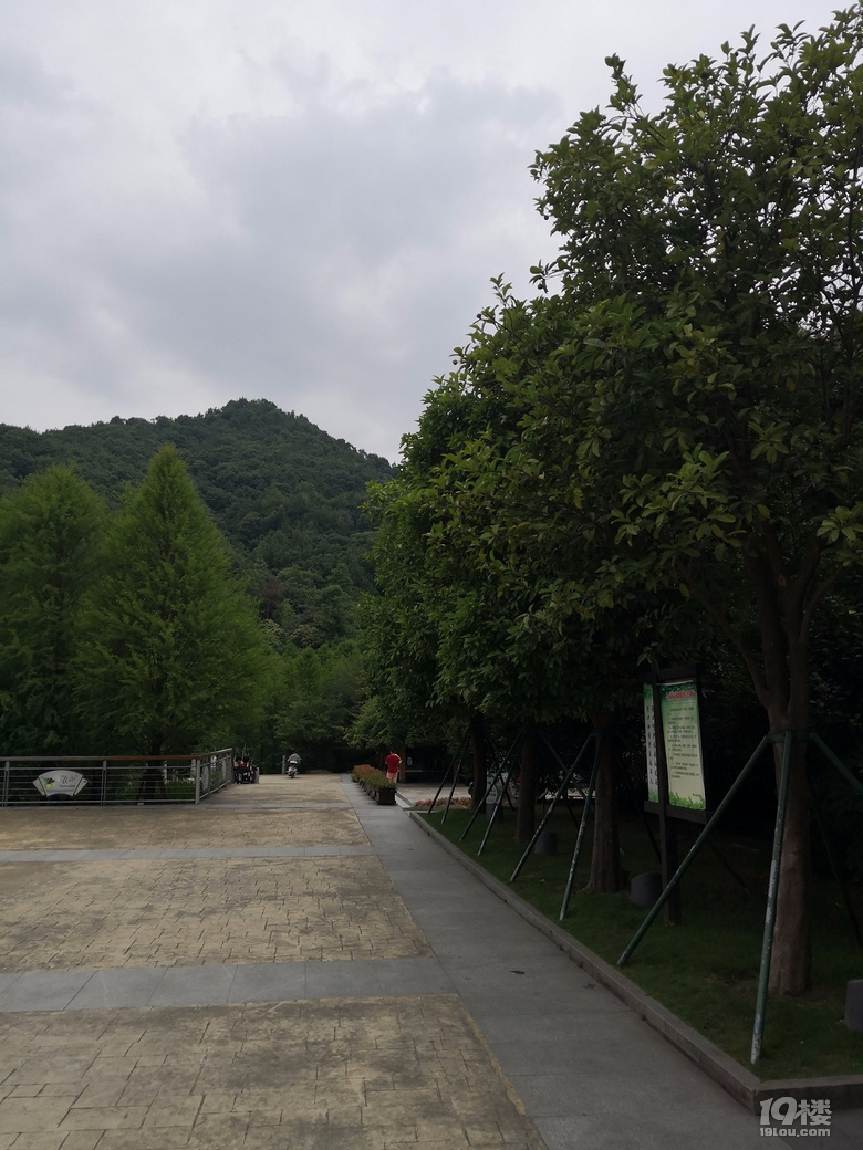 180602台州市路橋區路北街道三山村中央山公園一期公園