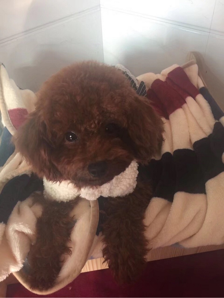 ����̩�Ϲ����¼� ��