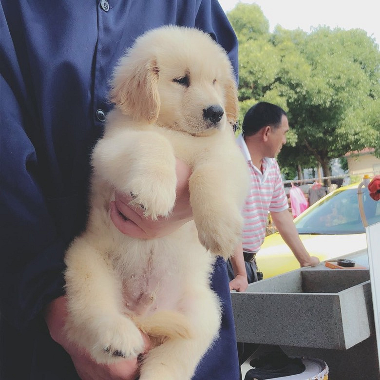 ��½�ھ�����������ֽ���ֱ��˳��ۣ�Ҫ��˽