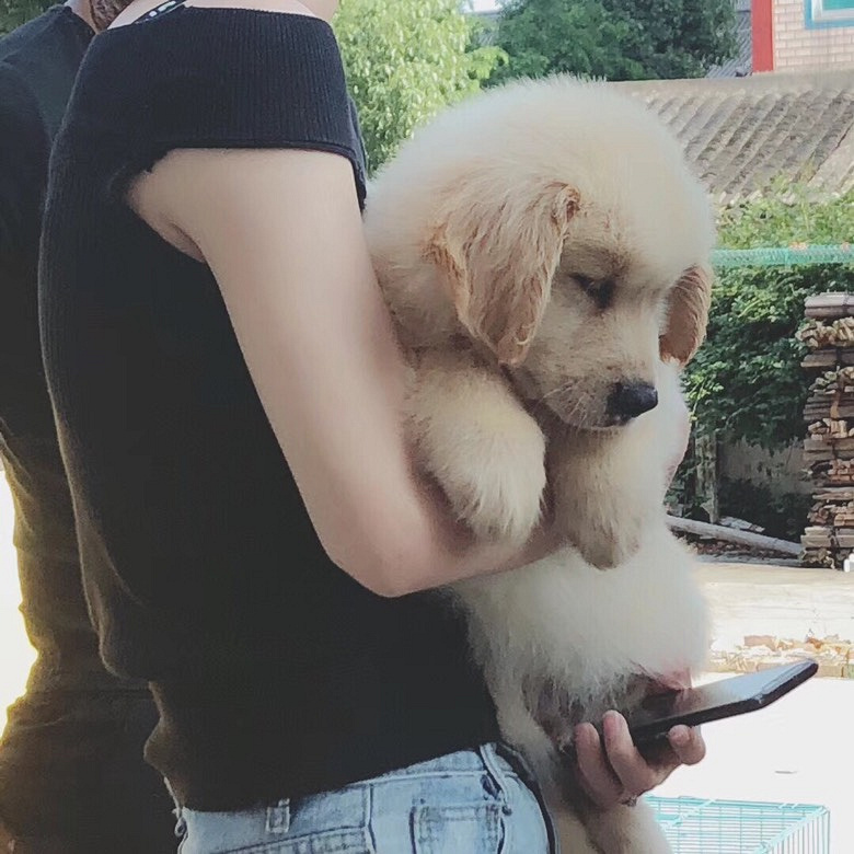 ��½�ھ�����������ֽ���ֱ��˳��ۣ�Ҫ��˽