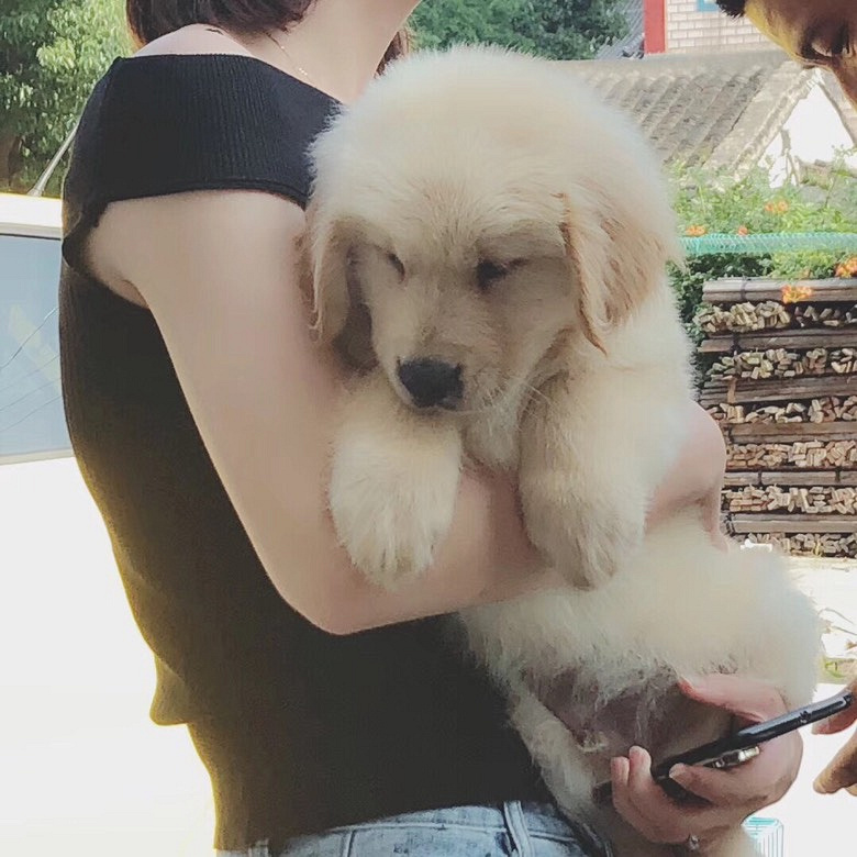 ��½�ھ�����������ֽ���ֱ��˳��ۣ�Ҫ��˽