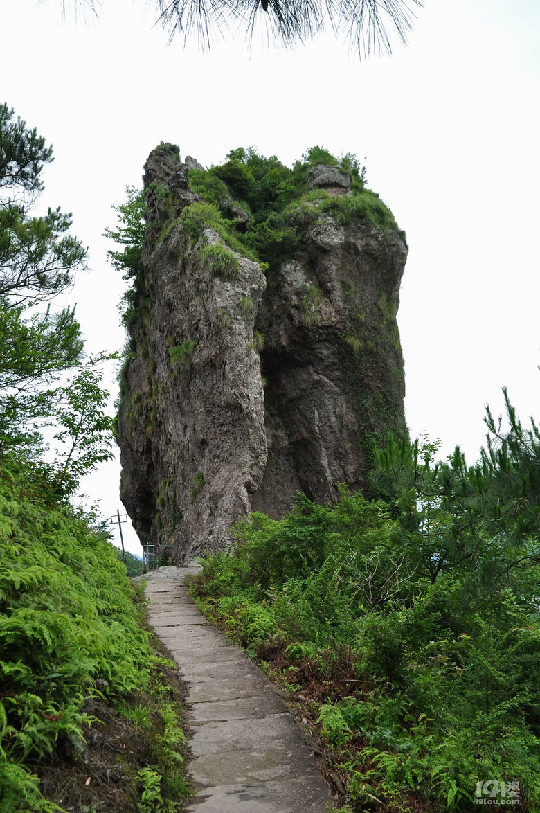 临海桃江十三渚