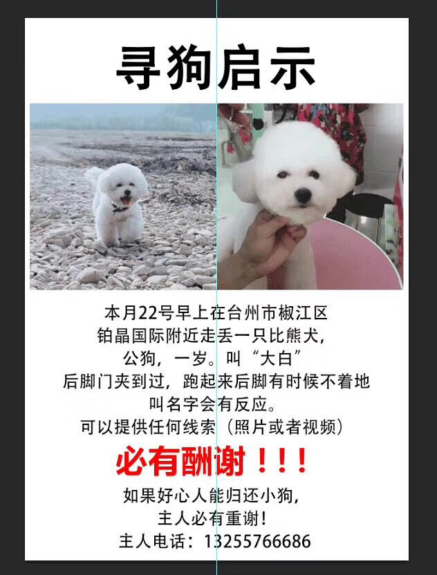 �ؽ�Ѱ�������æ��