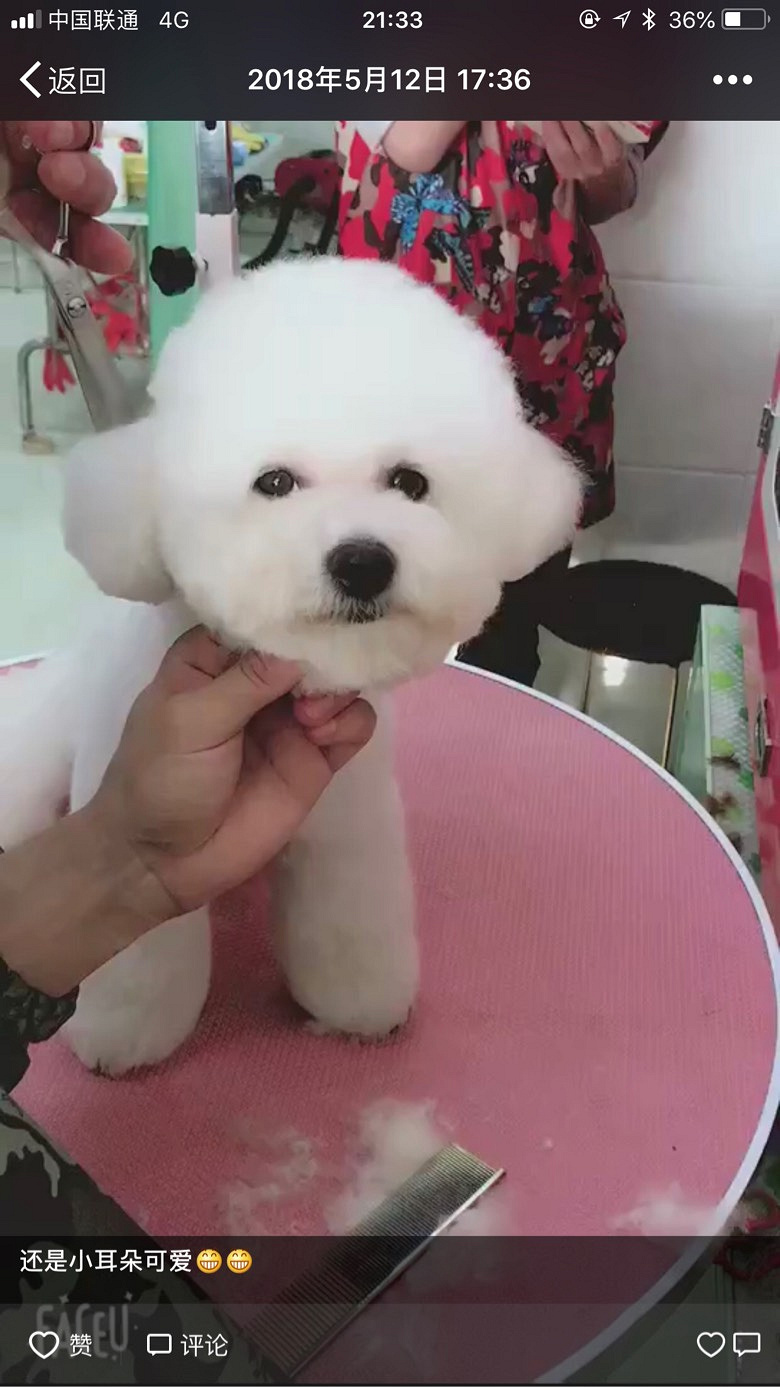 �ؽ�Ѱ�������æ��