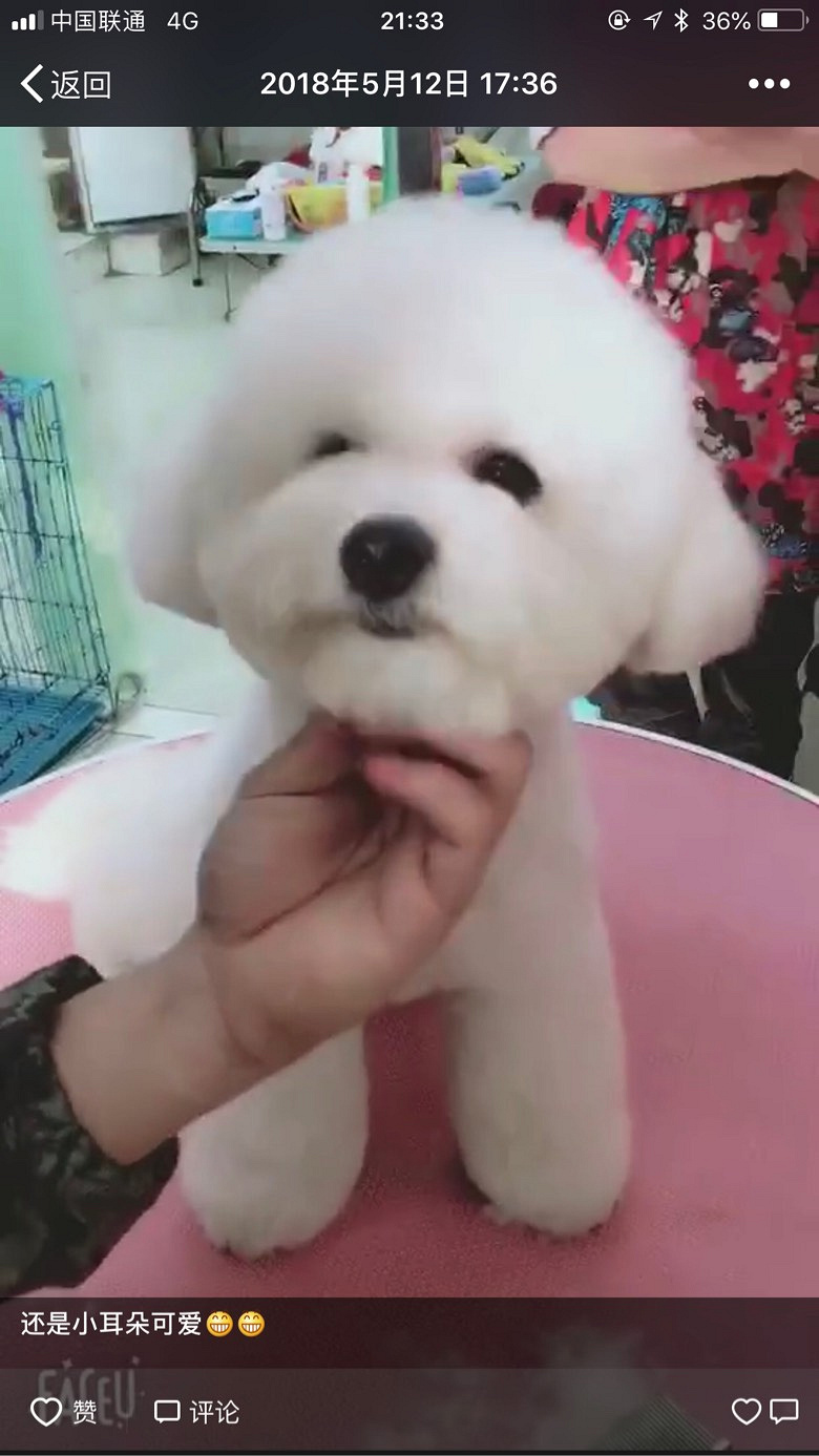 �ؽ�Ѱ�������æ��