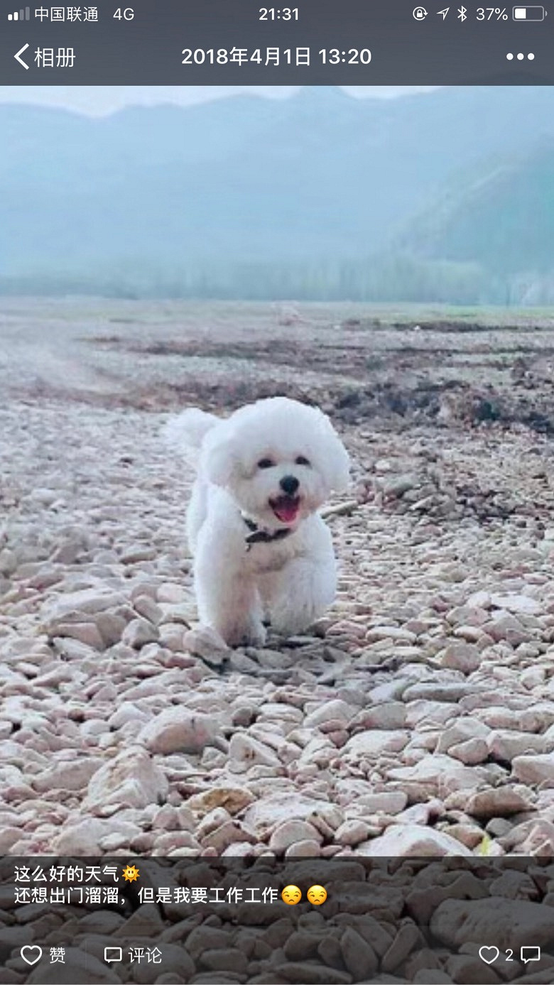 �ؽ�Ѱ�������æ��