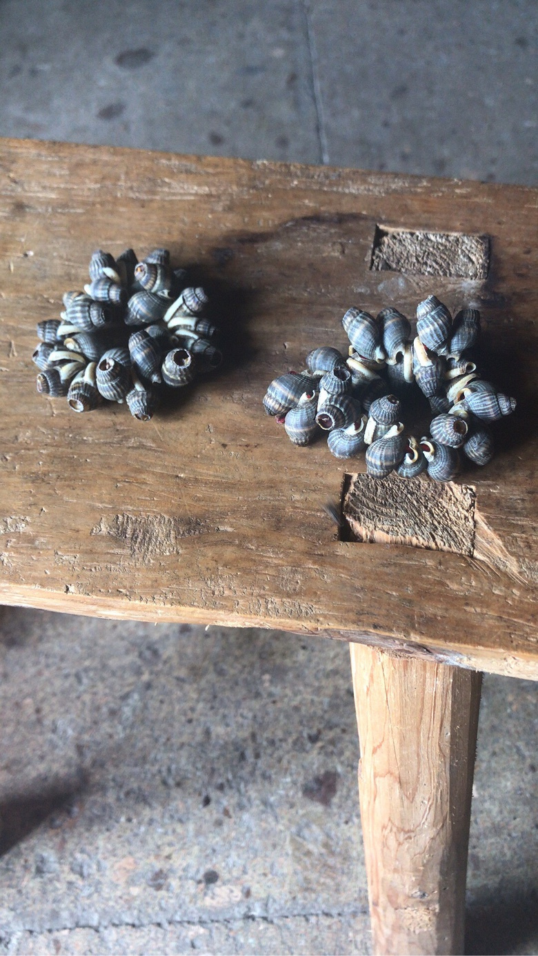 ��˹��ζ �����Ƴ����