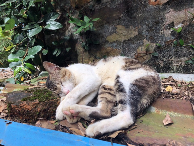 �벻�����������˯��