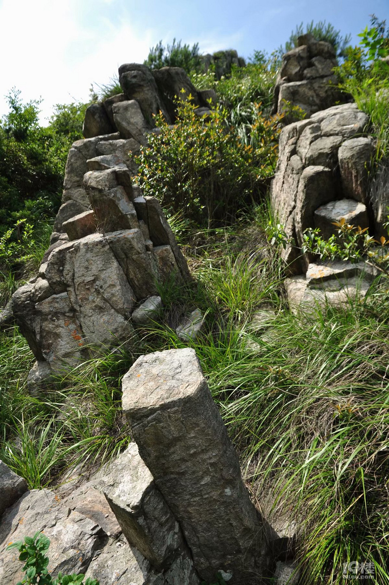 临海大火山珊瑚岩