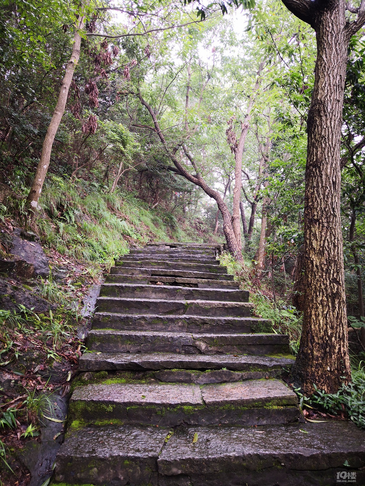 椒江枫山图片