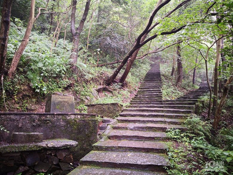 椒江枫山图片