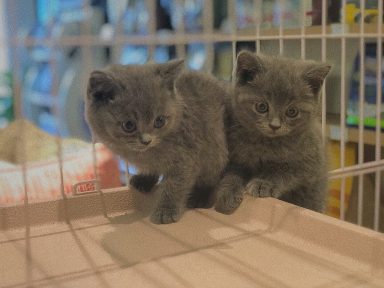 Сè�����ѽ������