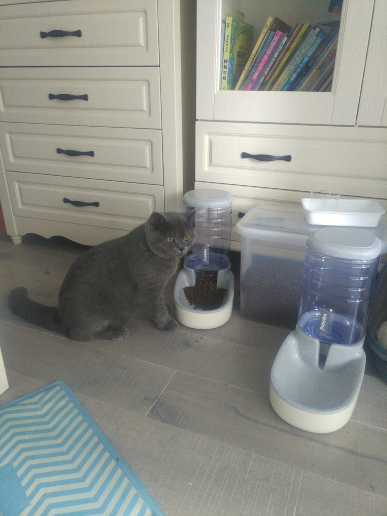 ��Ӣ�����Ҹ�ϱ��