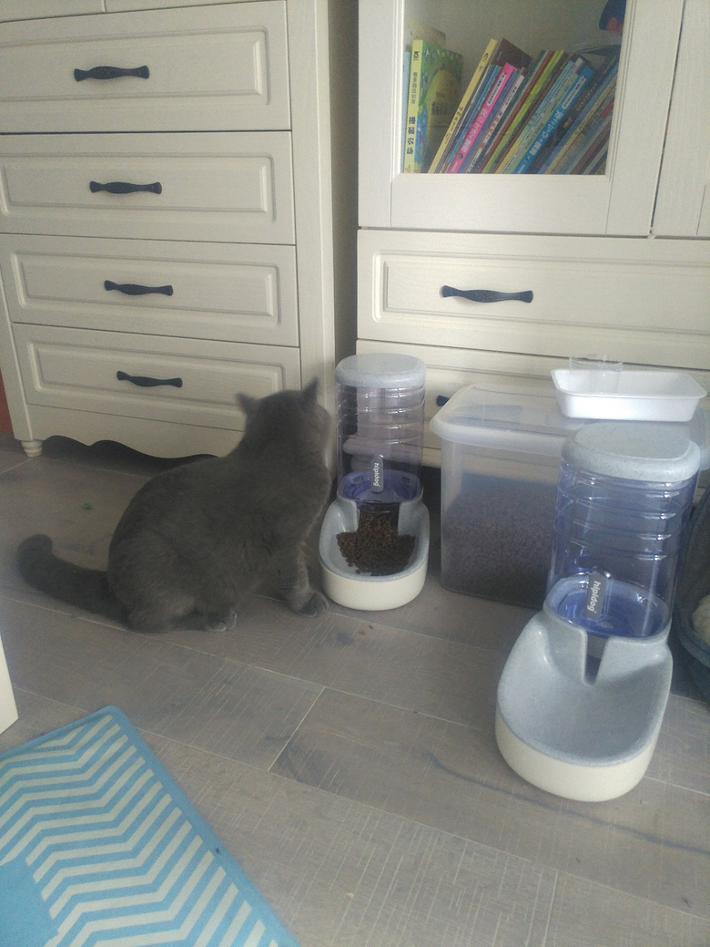 ��Ӣ�����Ҹ�ϱ��