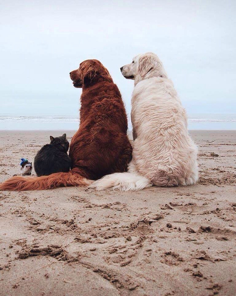 ��Ϊ��ͥԭ��������������ҵĹ���.�����Ժ�˯���а���.