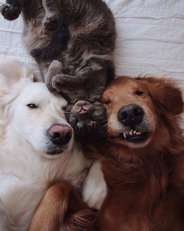 ��Ϊ��ͥԭ��������������ҵĹ���.�����Ժ�˯���а���.