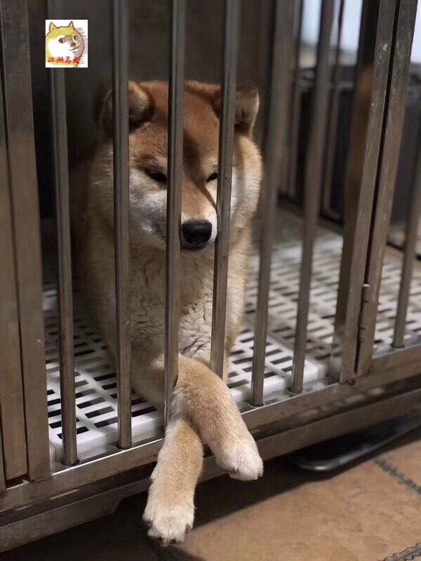 ����ׯ��ȮȮ�᳣����۾�Ʒ��Ȯ