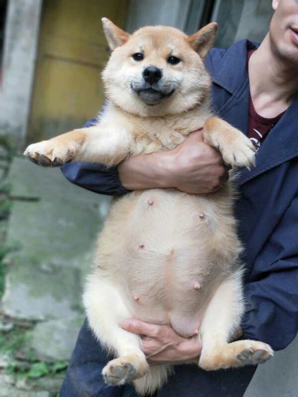 ����ׯ��ȮȮ�᳣����۾�Ʒ��Ȯ