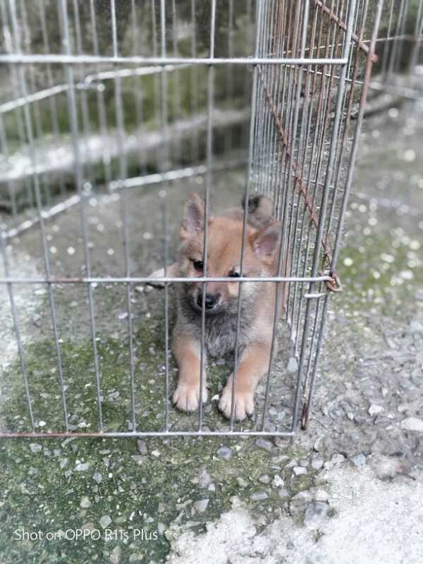 ����ׯ��ȮȮ�᳣����۾�Ʒ��Ȯ