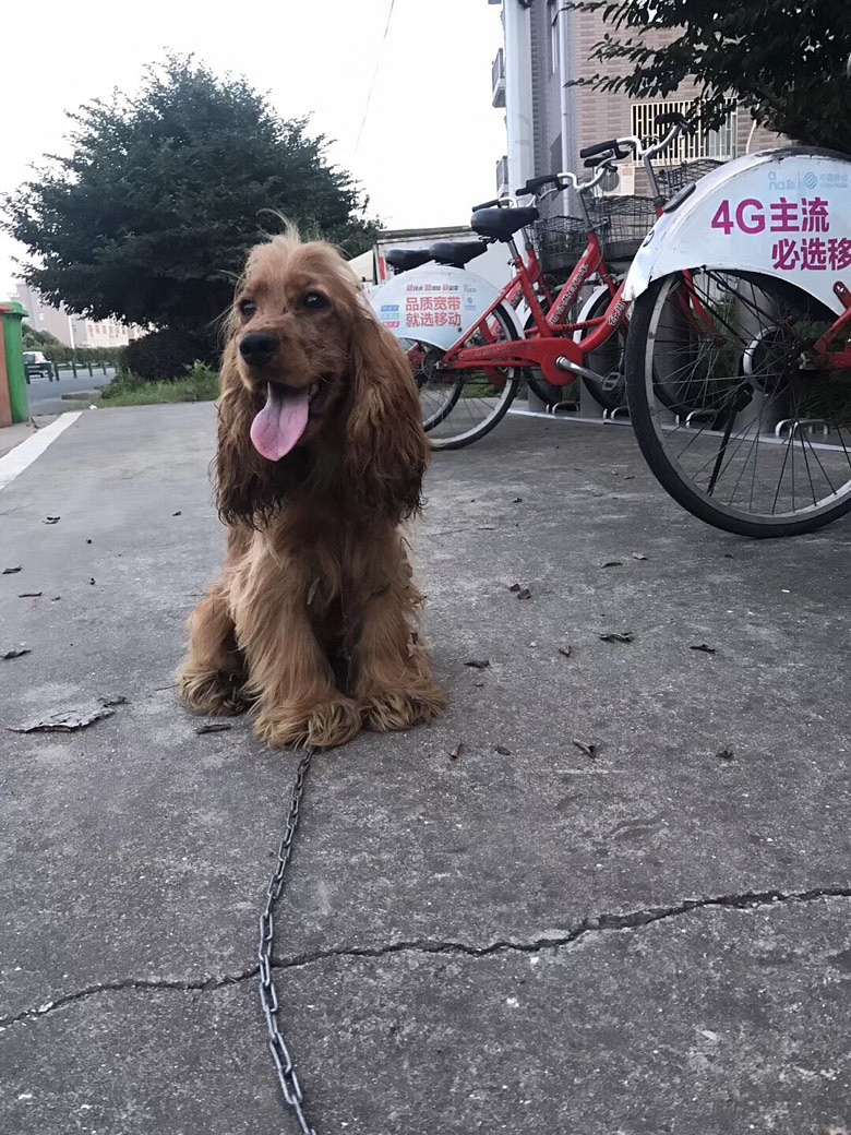 һ������ɿ�����