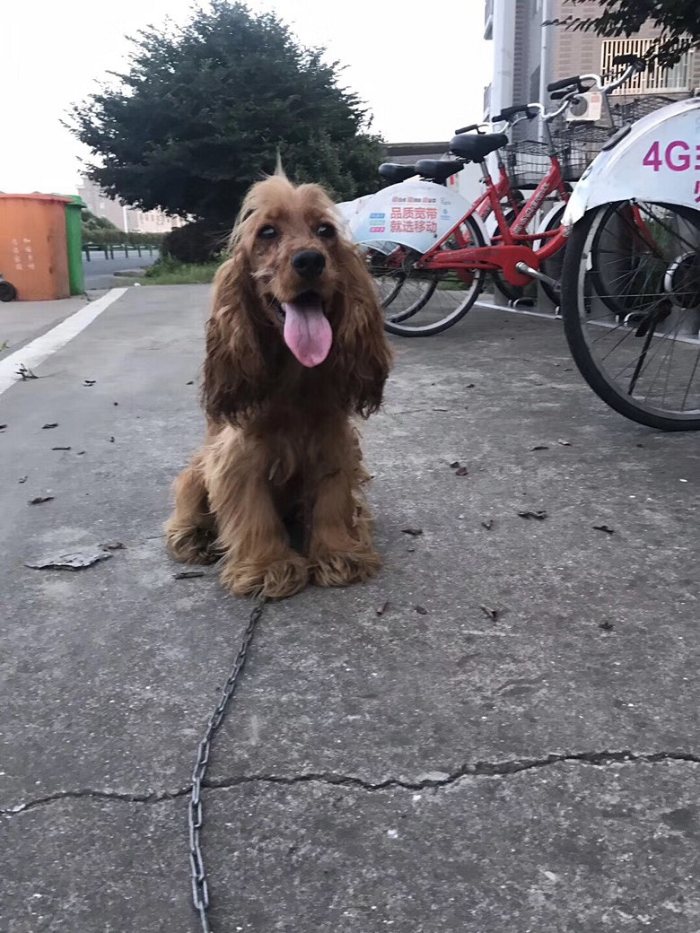 һ������ɿ�����